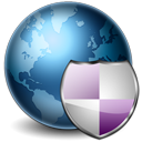 Earth Security Icon